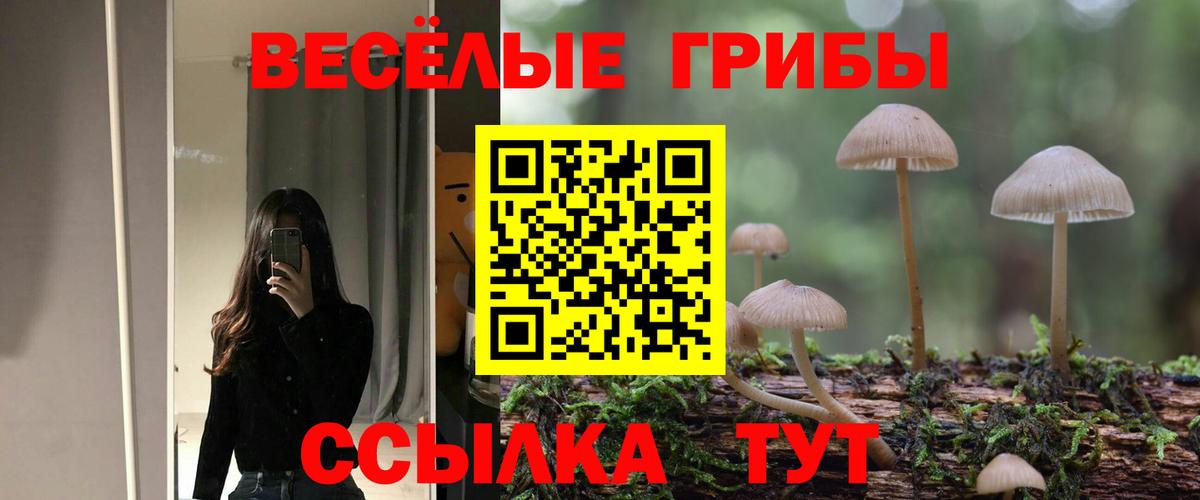 Темрюк  сколько стоит  Вход с VPN  Галлюциногенные грибы ЛСД 